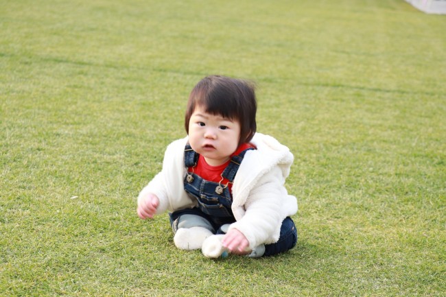 広い芝生エリアは絶好の写真スポット♪　都内でなかなか綺麗な芝生の公園を見つけるのは難しい！