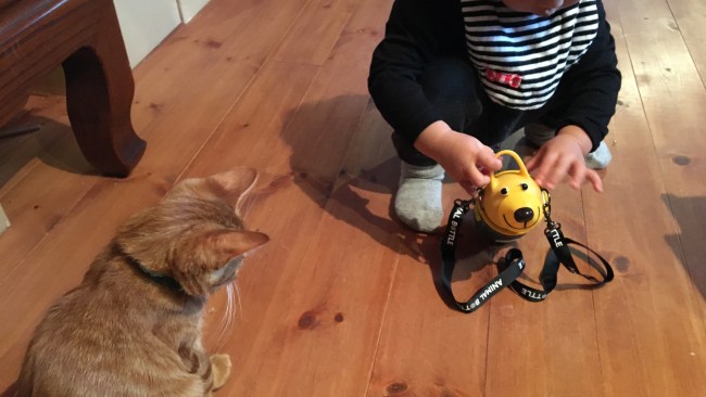 《成長に合わせて乗り換え》哺乳瓶からストロー飲みへのステップアップって、どうするの?