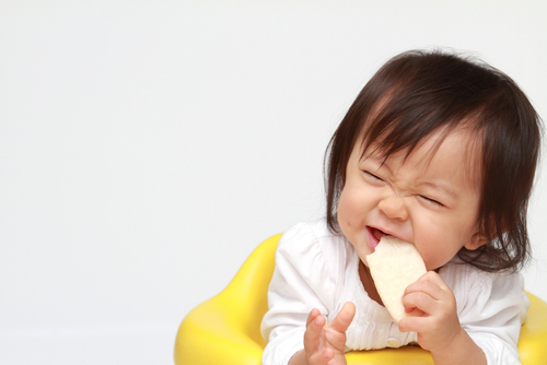 「三食食べられるようになったら」が、断乳のひとつの目安です