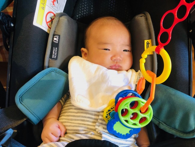 ベビーカーに乗った息子の目の前にぶら下げて、メリー代わりにして使っていたことも♪
