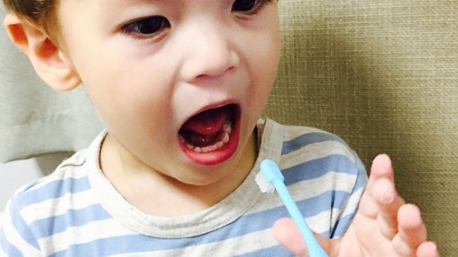 気になるみんなの乳歯ケア、我が家の歯磨きのコツお教えします!