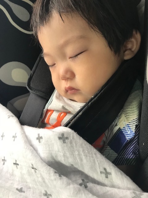 去年の旅行でもチャイルドシートで眠ってしまった時にもさっとかけてあげたり。常に1枚は携帯