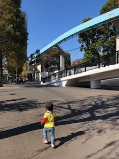 赤に黄色。どこに走って行かれても目立ちます!