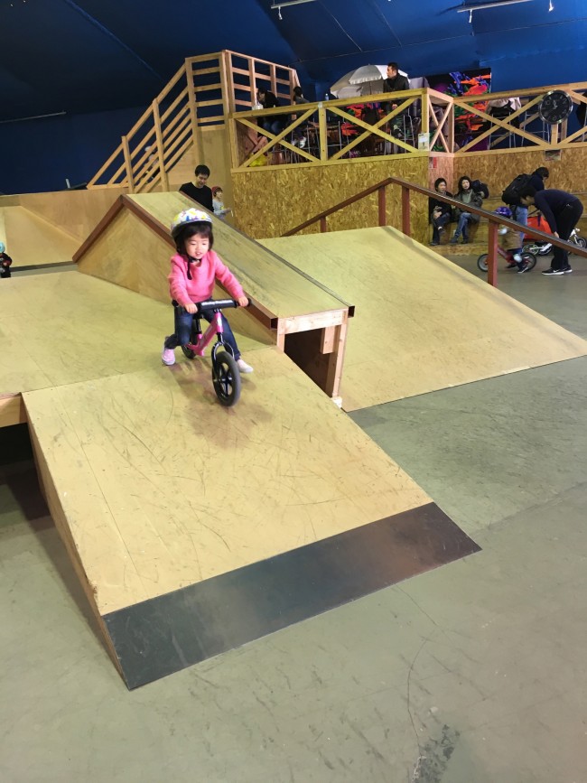 慣れると足を離して駆け下りられるように…。見ているこちらも興奮します