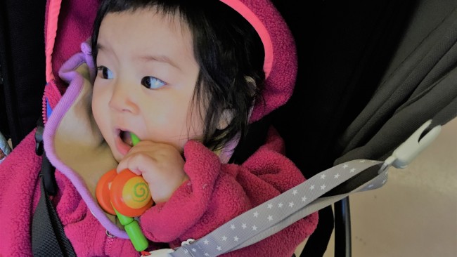 《お出かけ時のマストアイテム》なんでも留められる、マルチクリップの使い方いろいろ!