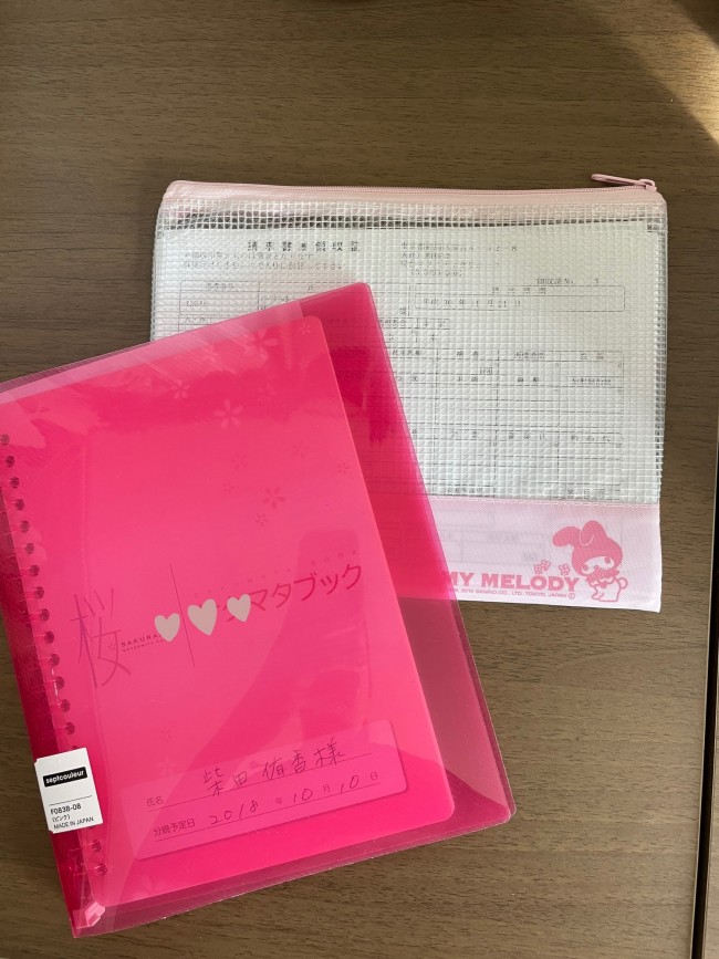 次々と増えていく資料。毎回もらう受診票の控えと、領収書を一緒に入れる袋はひとまず100均で購入