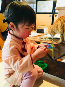 小魚は猫と分け合って食べます