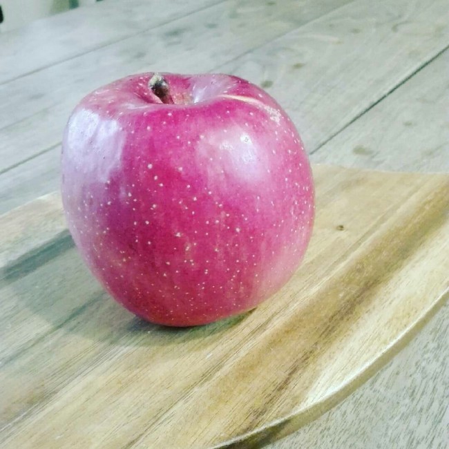真っ赤なりんごは冬の果物！