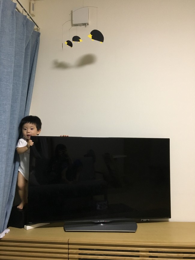 部屋のなかのヒヤリ ハット 赤ちゃんには 危険がいっぱい 気になるみんなの部屋作りの工夫 安全対策 代官山スタイル By Blossom39