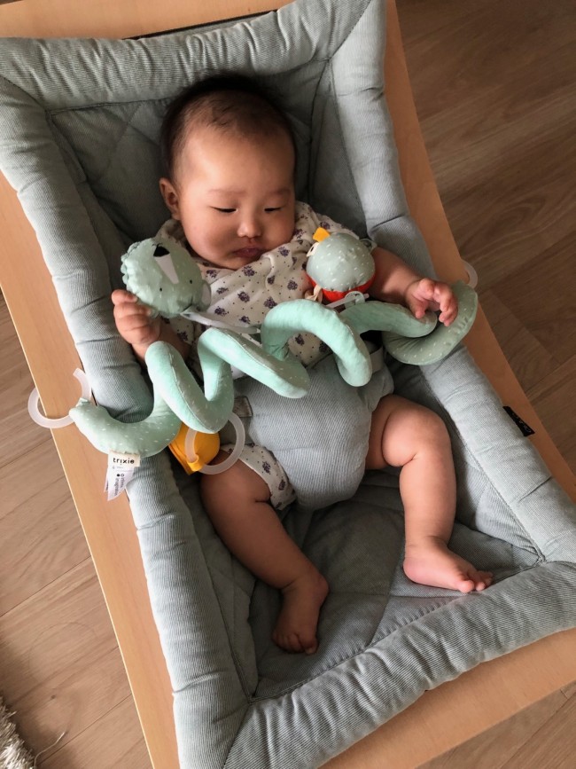 トリクシーのおもちゃがジャストフィット!