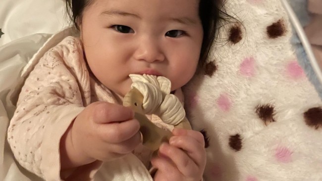 《かみかみ期にぴったり♡》はじめて使う、天然木の歯固め 出産祝いやハーフバースデーの贈り物にもおすすめ!