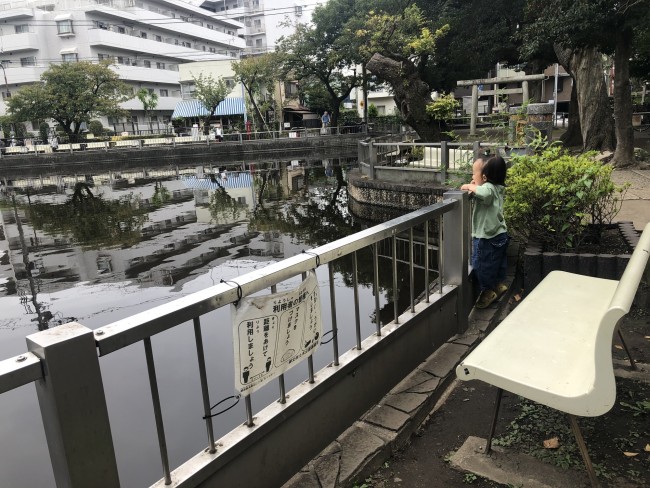 大きな池では、おじさんたちの釣りを眺めてのんびり