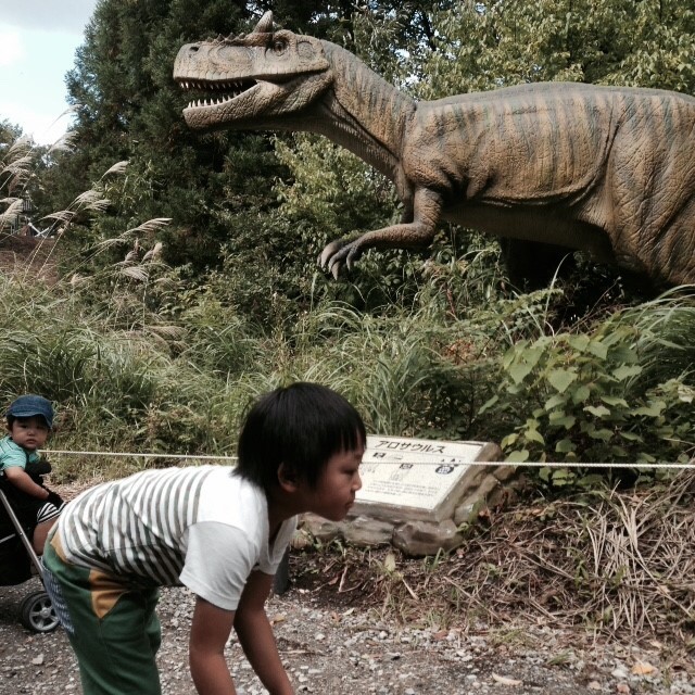 恐竜のいる時代にタイムスリップした感覚が味わえる、福井旅行でした!