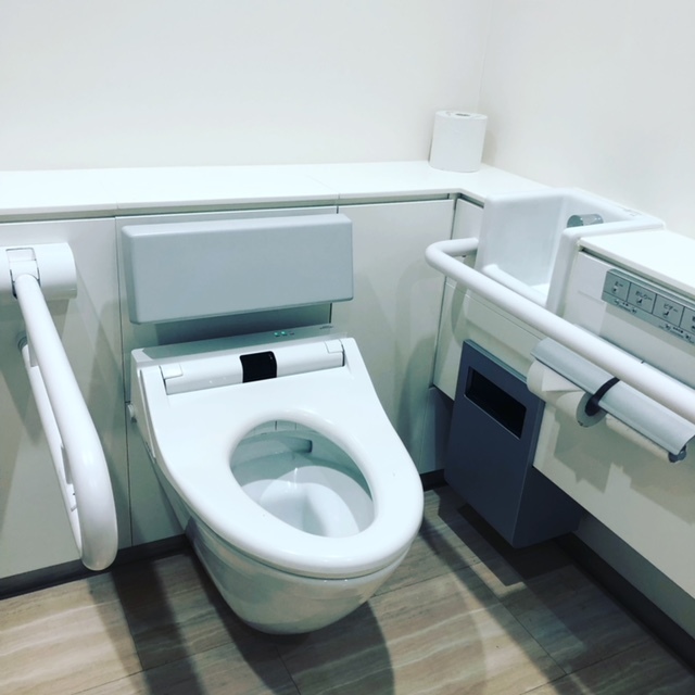 外出先は、まだまだママのサポートが必要。どんなトイレでもできるように、いろいろトライしています