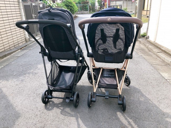 バスケットのちがいは見た目でもわかります