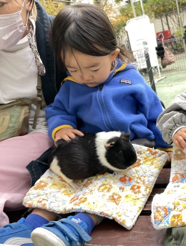 ベンチに座って、かわいいモルモットを抱っこできます