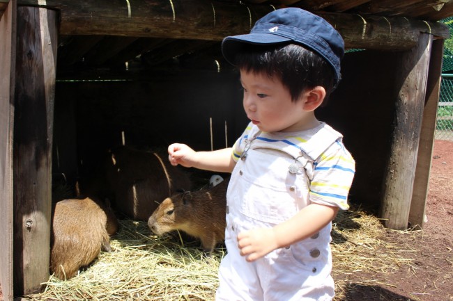 プチバトーの子ども用ワークキャップ。ママも子どももお気に入りでした♪