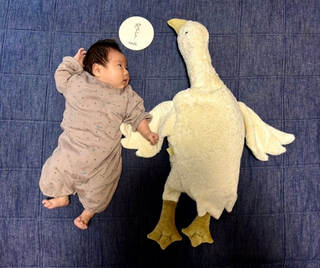 ついに1month! おや、ぬいぐるみの存在に気がついたようです