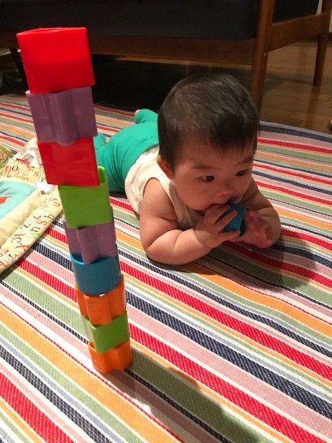 おうちで何して遊んでる 月齢別 赤ちゃんとの家遊びはこんなことをしています 代官山スタイル By Blossom39