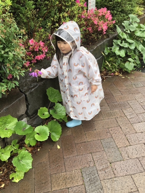 雨でも歩きたがる日も。登園時間も親子の大事な時間……と考えて、娘も歩ける距離にして正解でした