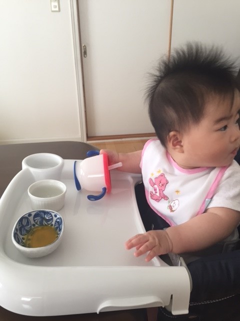 離乳食がなかなか進まない子に お食事椅子の定番 ファスト の使い心地レポート 代官山スタイル By Blossom39
