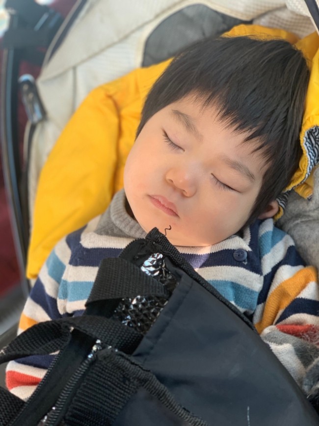 おひるねって いつまでしてる 赤ちゃん 3歳まで 我が子のおひるねスケジュール 代官山スタイル By Blossom39 おひるねって いつまでしてる 赤ちゃん 3歳まで 我が子のおひるねスケジュール 代官山スタイル By Blossom39