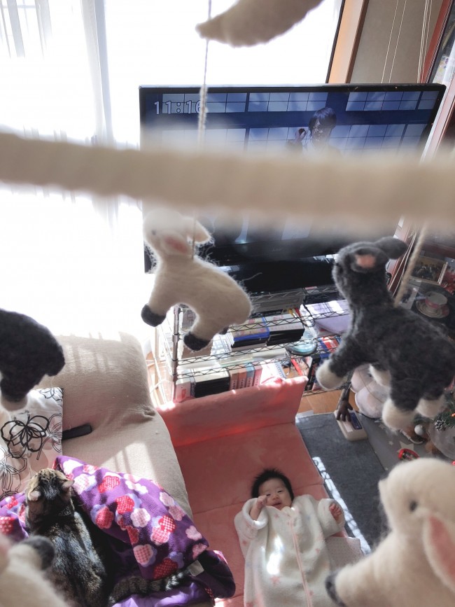 生まれたての赤ちゃんに メリーってどんなもの 赤ちゃんの反応は 実際に使ってみました 代官山スタイル By Blossom39 生まれたての赤ちゃんに メリーってどんなもの 赤ちゃんの反応は 実際に使ってみました 代官山スタイル By Blossom39