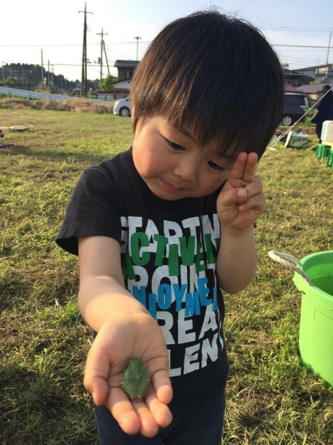 畑には、都会でなかなか見かけない虫も! こどもたちはカエルに夢中でした