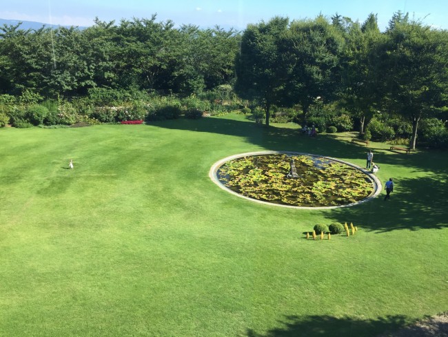 ヴァンジ彫刻庭園美術館。芝生で走ったり昼寝をすると気持ち良さそう。季節によって色々な植物を見ることができますし、庭師さんがいれば気軽に質問に答えてくれるそう