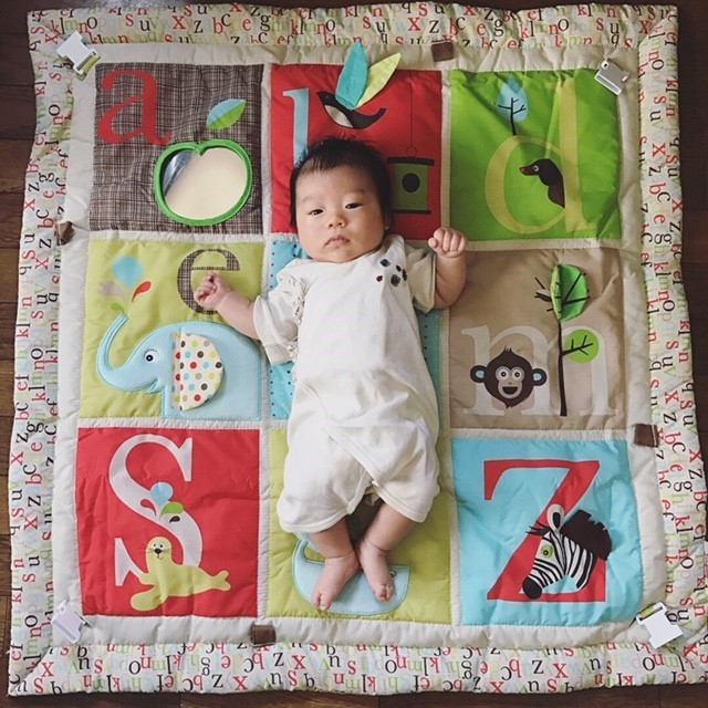 こんな感じで同じ背景を用意して同じ角度で撮ると、1ヶ月でどれくらい大きくなったのかがわかります!