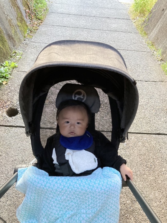 ママたちに口コミを聞いた サイベックス バガブー Yoyo 我が家のベビーカー ここがお気に入り 代官山スタイル By Blossom39 ママたちに口コミを聞いた サイベックス バガブー Yoyo 我が家のベビーカー ここがお気に入り 代官山スタイル By Blossom39