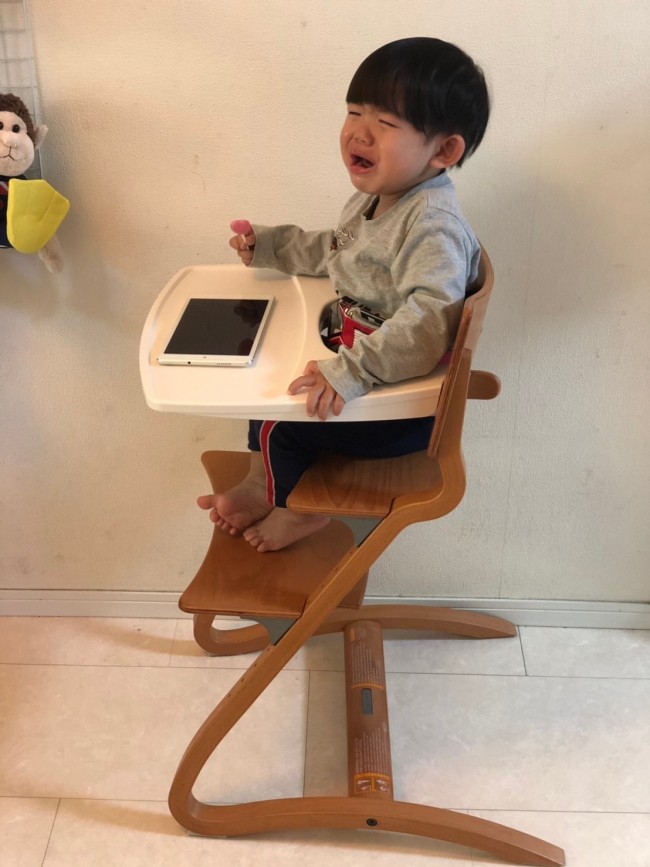 普段はトレイなしの食事なのでお気に召さなかった様子! ごめん!