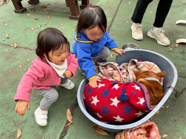 ふれあいひろばには、ワンちゃんも!