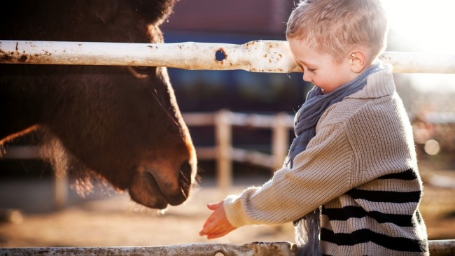 《春休みに行こう!》たくさんの動物と触れ合える子連れ旅行♪〜関東近郊編〜