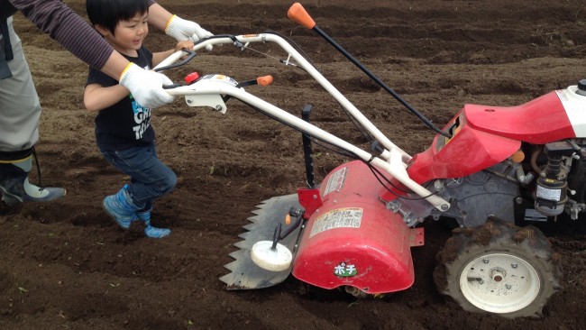 《週末のおでかけは…》食への関心を高め、感謝する心も育つ「農業体験」しています!