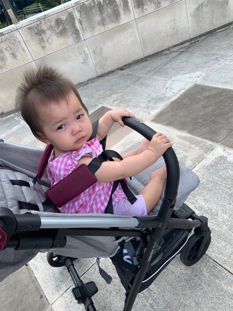 イングリッ シーナ クイッド クイッド イングリッ シーナ