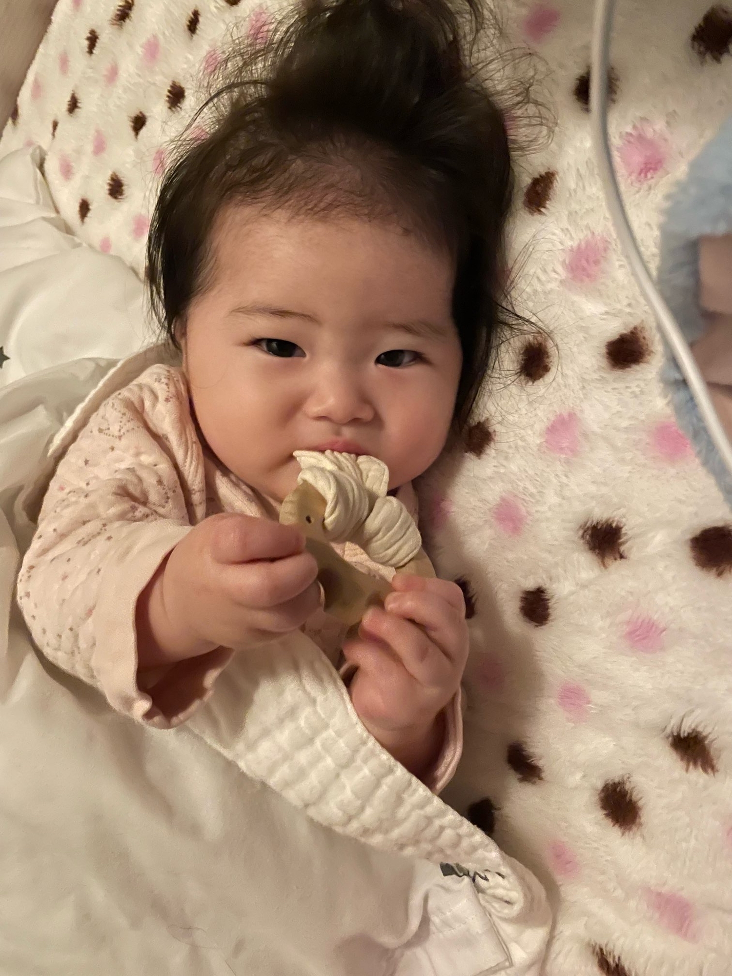 かみかみ期にぴったり はじめて使う 天然木の歯固め 出産祝いやハーフバースデーの贈り物にもおすすめ 代官山スタイル By Blossom39 かみかみ期にぴったり はじめて使う 天然木の歯固め 出産祝いやハーフバースデーの贈り物にもおすすめ 代官山スタイル By Blossom39