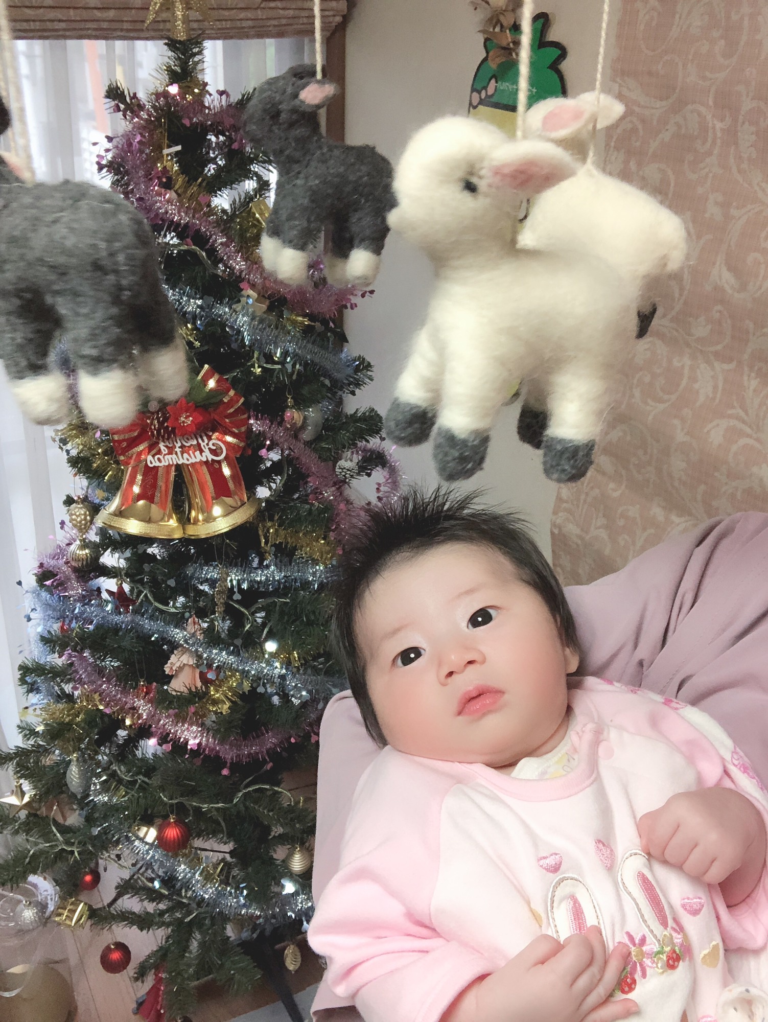 生まれたての赤ちゃんに メリーってどんなもの 赤ちゃんの反応は 実際に使ってみました 代官山スタイル By Blossom39 生まれたての赤ちゃんに メリーってどんなもの 赤ちゃんの反応は 実際に使ってみました 代官山スタイル By Blossom39