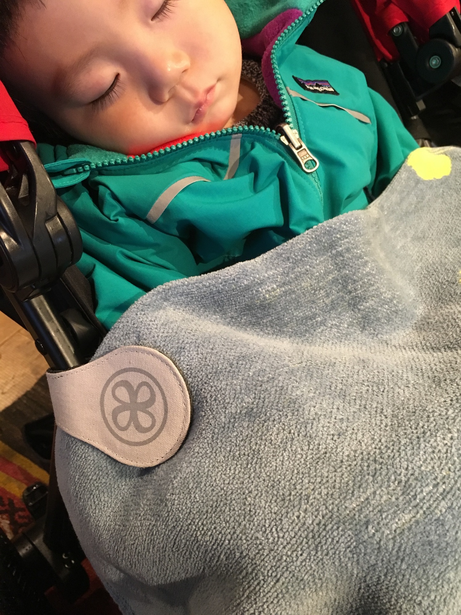 ベビーカー ブランケットに必須 この秋冬買ってよかった おでかけを快適にするプラスワンアイテムって 代官山スタイル By Blossom39