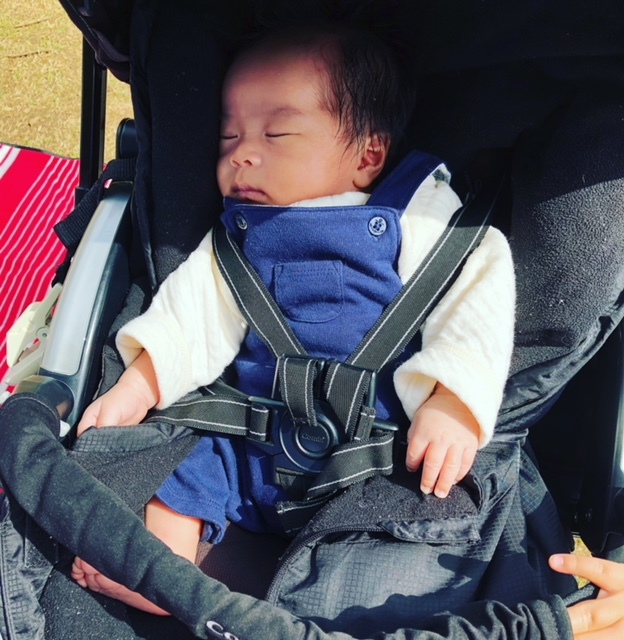 赤ちゃんとのおでかけはいつから ベビーカー外出でのヒヤリハット 気をつけたいトラブルあるある 代官山スタイル By Blossom39