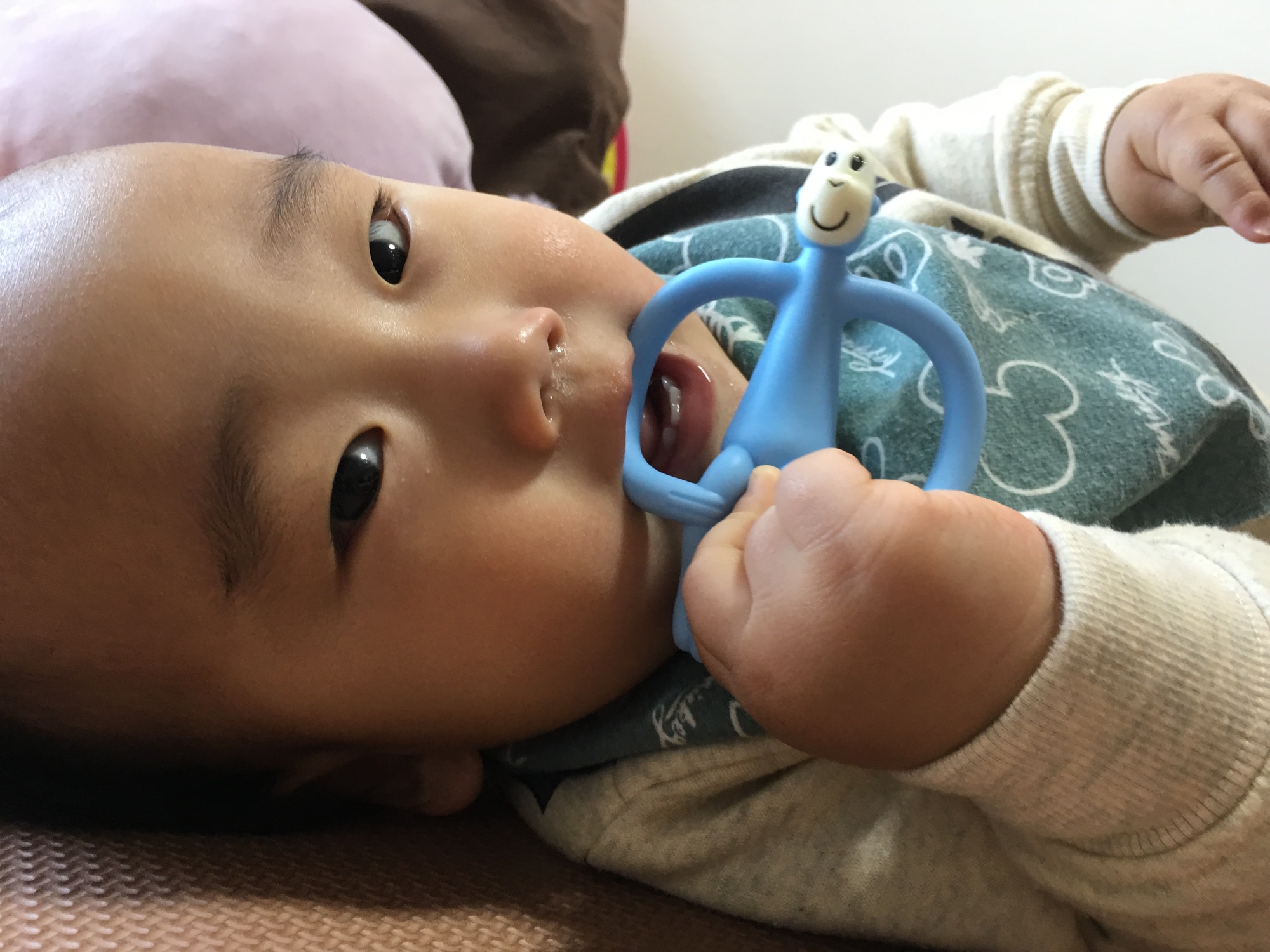 乳歯が生えてきたベビーに カミカミ ムズムズ期に大活躍の かわい い歯固め発見 代官山スタイル By Blossom39